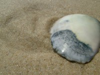 /album/nesian-photography1/nesian-picture-21-copy-jpg/